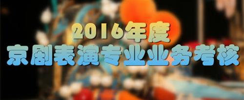 插逼网站网址国家京剧院2016年度京剧表演专业业务考...